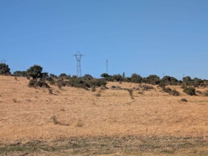 Vistas